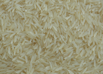 PUSA-Basmati-Rice (1)