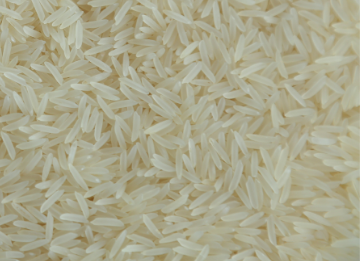 Traditional-Basmati (1)